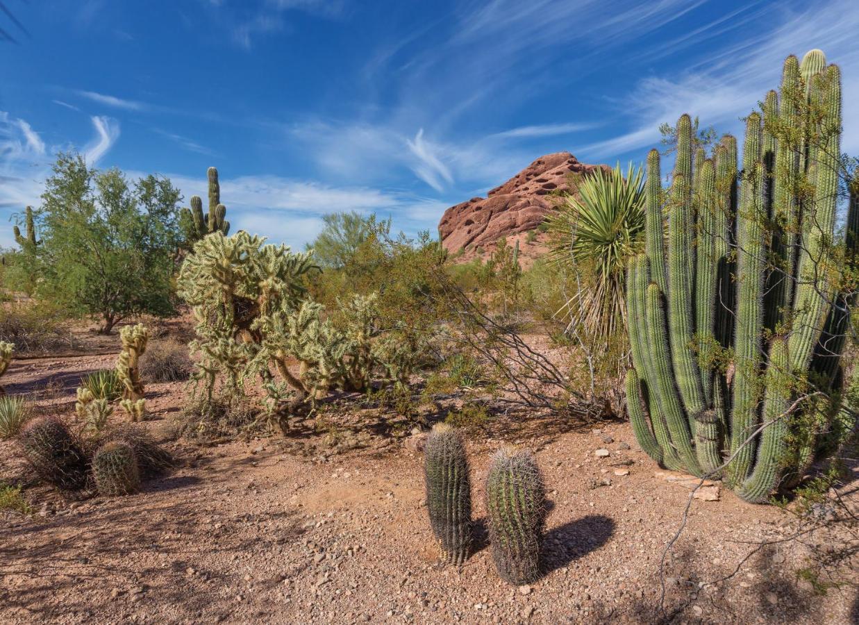 Orange Tree Resort Scottsdale Exterior foto